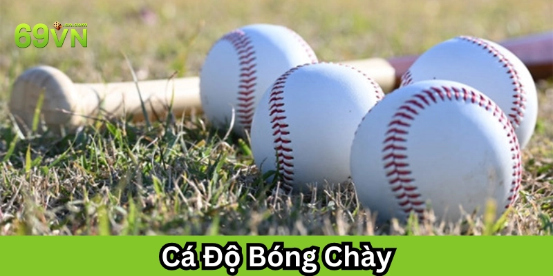Cá Độ Bóng Chày có khó không?
