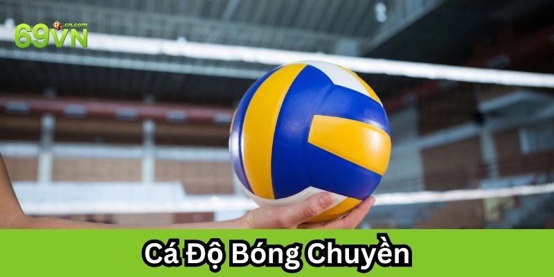 Cá Độ Bóng Chuyền hoạt động như thế nào?