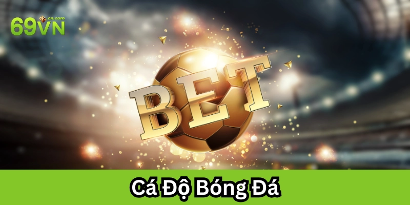 Cá Độ Bóng Đá là gì?