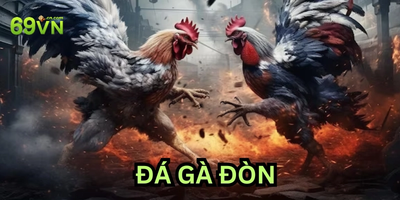 Chiến thuật hay về cược Đá Gà Đòn