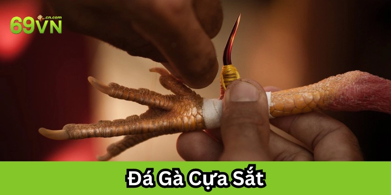 Đá Gà Cựa Sắt là gì?