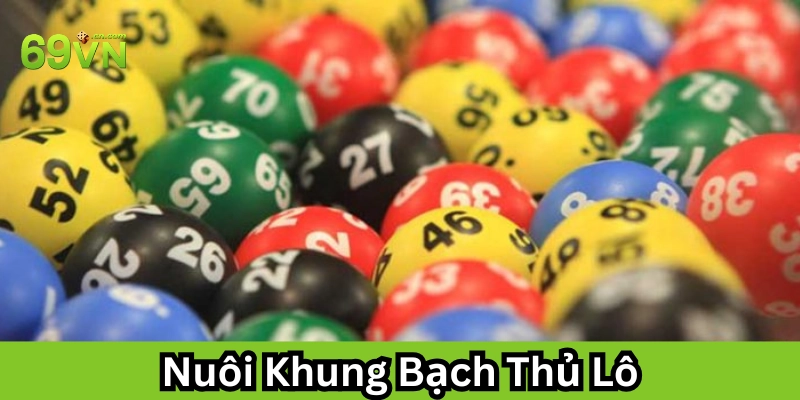 Nuôi Khung Bạch Thủ Lô là gì?