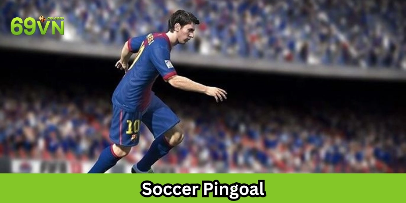 Soccer Pingoal