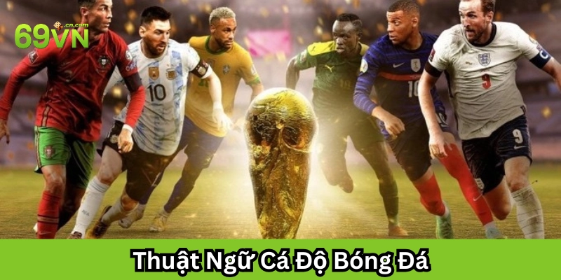 Thuật Ngữ Cá Độ Bóng Đá