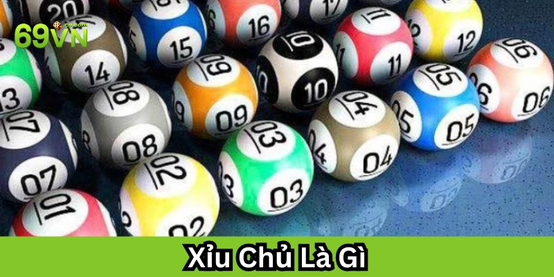Xỉu Chủ Là Gì