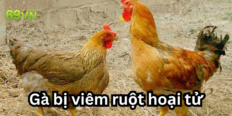 5 cách phòng bệnh hiệu quả