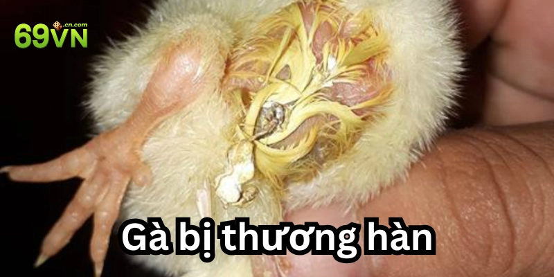 Giải pháp phòng ngừa và điều trị