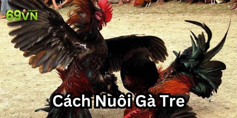 Những bước cần chuẩn bị trước khi nuôi